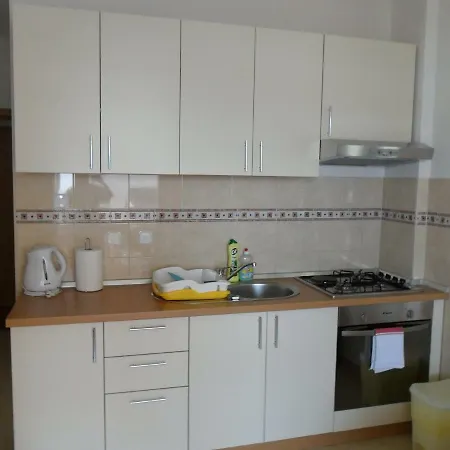 Tomicic Apartamento *