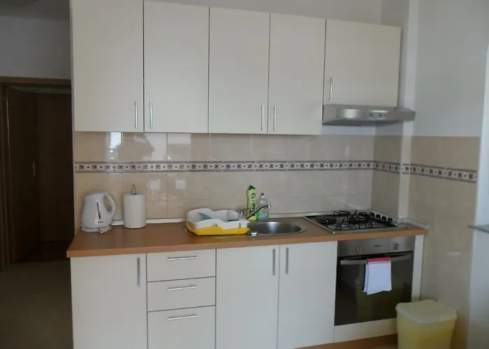 Tomicic Apartament *