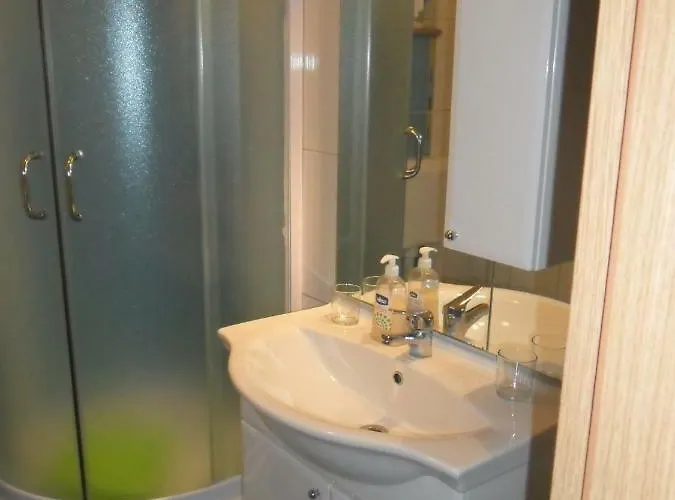 Apartament Tomicic *